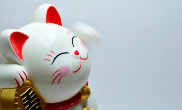 Image d'un chat en porcelaine