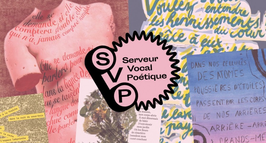SVP 6