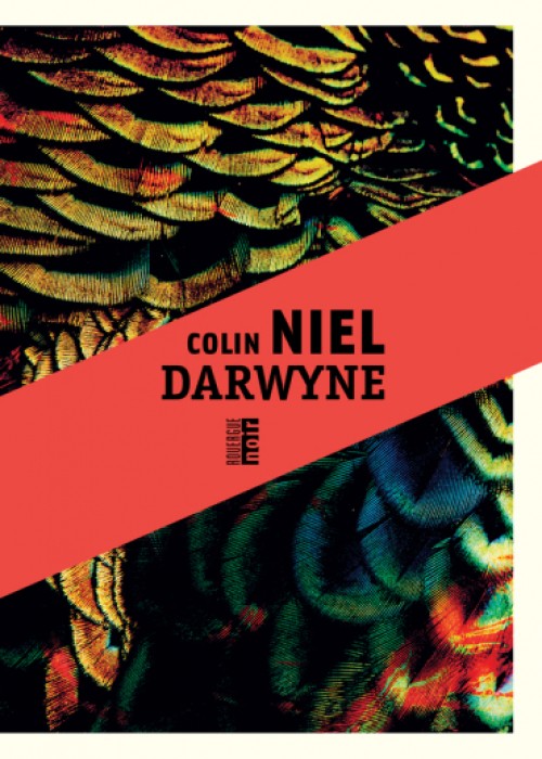 Colin Niel - Darwyne