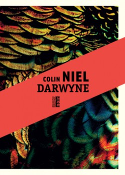 Colin Niel - Darwyne