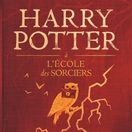 Harry Potter à l'école des sorciers